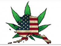 Марихуану на Аляске легализовали 39 лет назад и еще 3 неожиданных факта конопляной истории